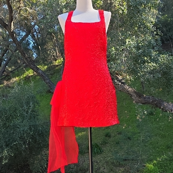 NWOT FOR LOVE AND LEMONS FROSTED ORGANZA MINI DRESS IN RED #2 SIZE S - Picture 3 of 8